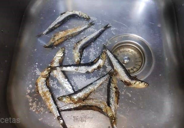 anchoas para limpiar en el fregadero