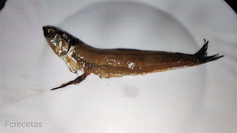 skinless anchovy