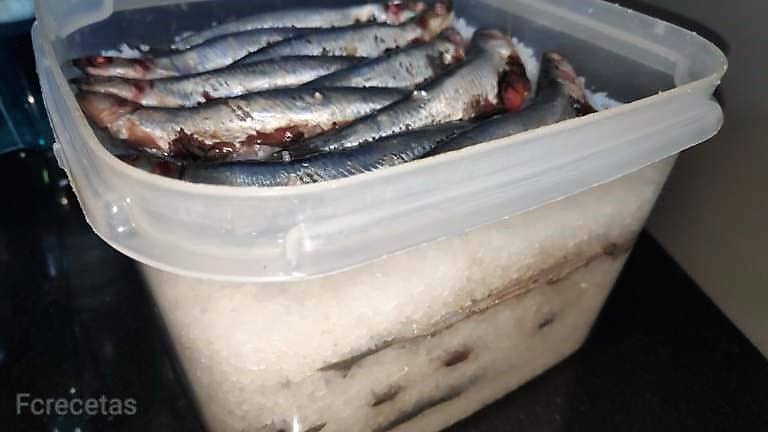 container full of anchovies and salt